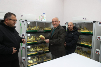 KAZ YETİŞTİRİCİLİĞİ ARTIYOR