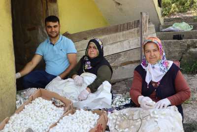 KİLOSU 400 TL