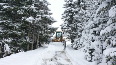KIRSALDA KARLA MÜCADELE SÜRÜYOR