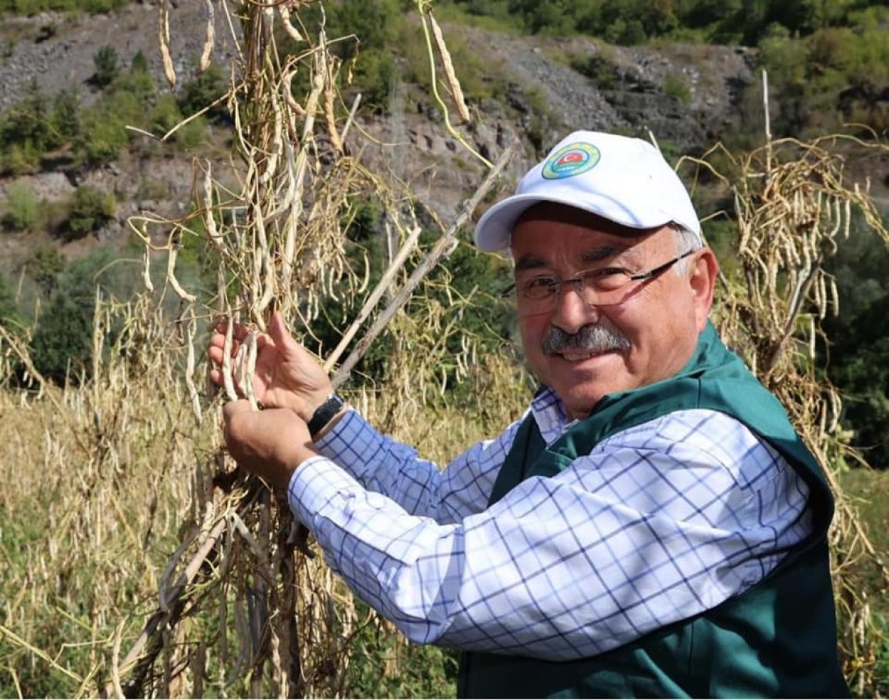 AKKUŞ ŞEKER FASULYESİNE DEV DESTEK
