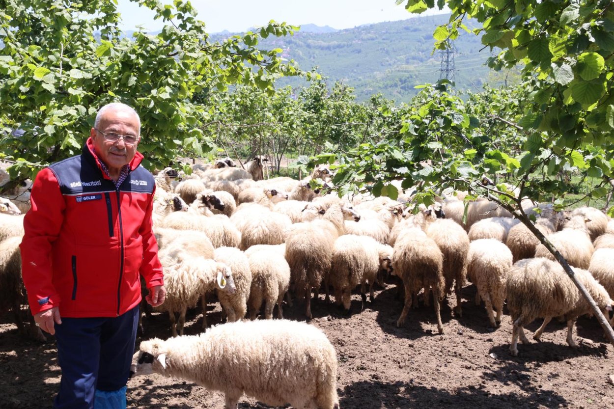 BAŞKAN GÜLER: “DAĞITIMINI YAPTIĞIMIZ HAYVANLARI KENDİMİZ YETİŞTİRİYORUZ”