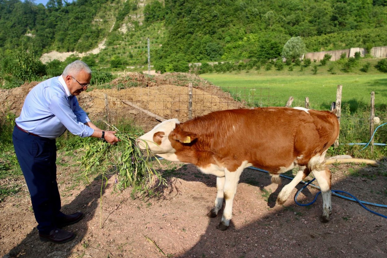BÜYÜKŞEHİR BESİCİLERİN YÜZÜNÜ GÜLDÜRDÜ