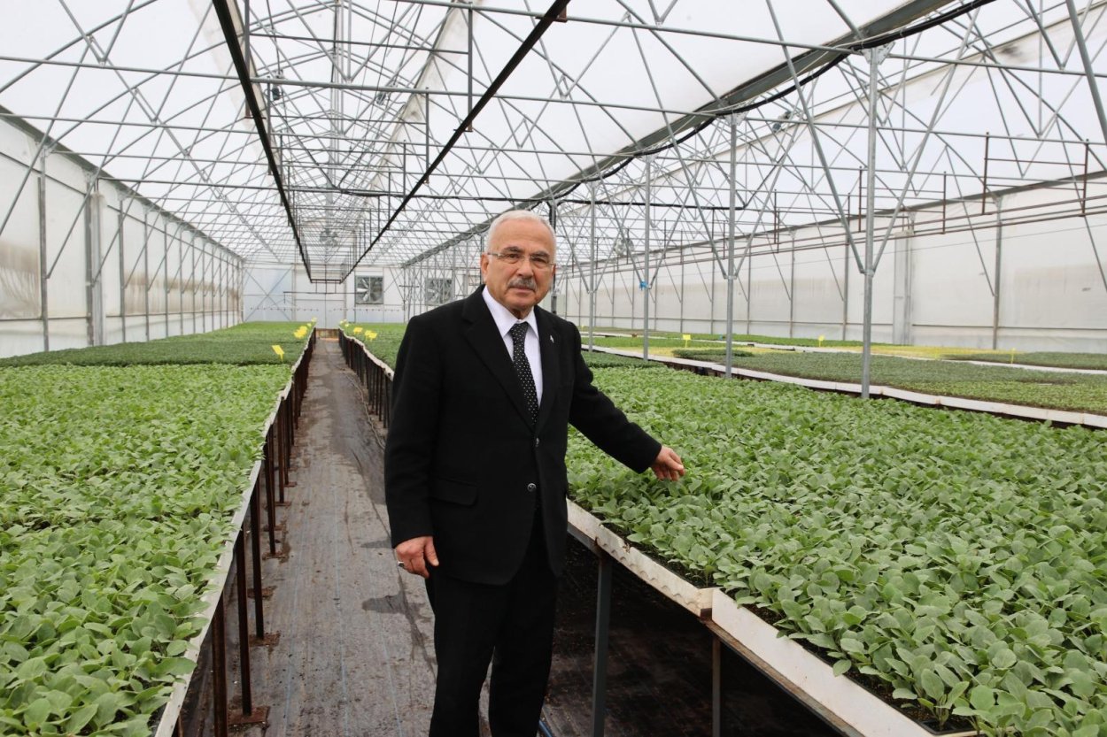 BÜYÜKŞEHİR DESTEKLERLE TEŞVİK ETTİ, VATANDAŞLAR KENDİ SEBZESİNİ ÜRETTİ