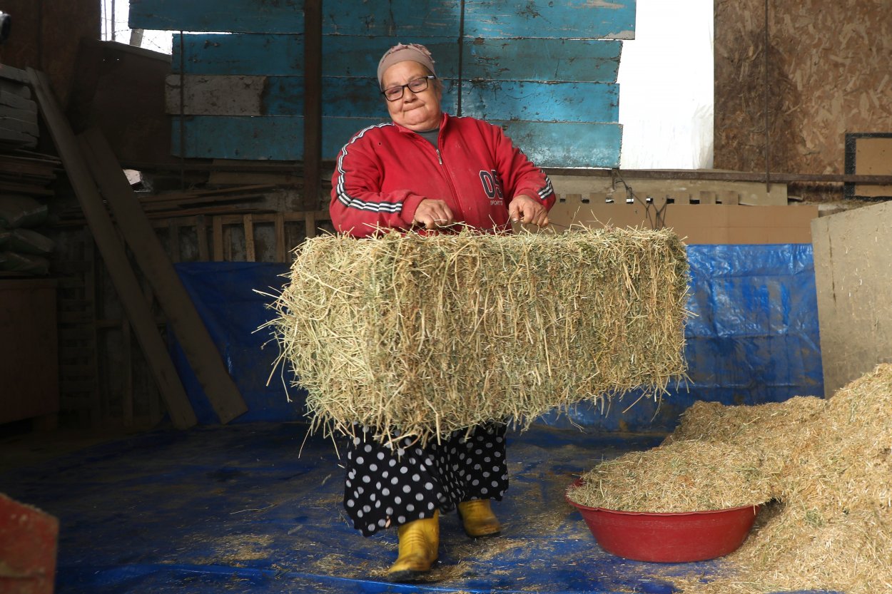BÜYÜKŞEHİR HAYVAN BESİCİLERİNİN YÜZÜNÜ GÜLDÜRDÜ