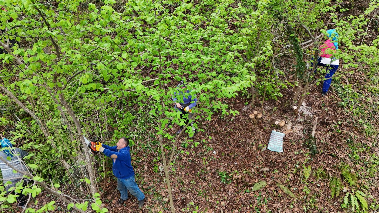 BÜYÜKŞEHİR İLE BAHÇELER DAHA VERİMLİ HALE GELİYOR