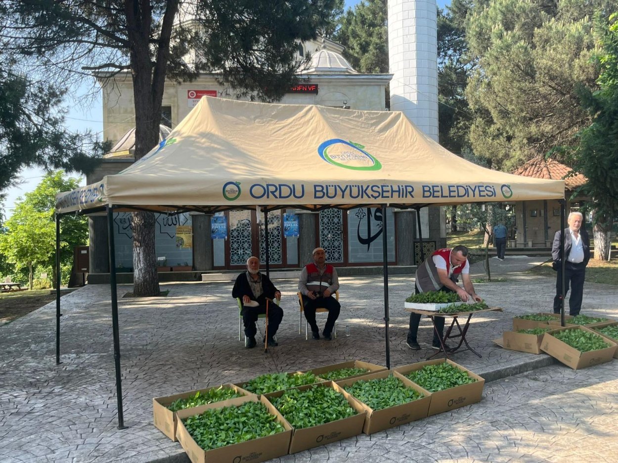 BÜYÜKŞEHİR KABİR ZİYARETİ ÖNCESİ VATANDAŞLARA ÇİÇEK FİDESİ DAĞITTI