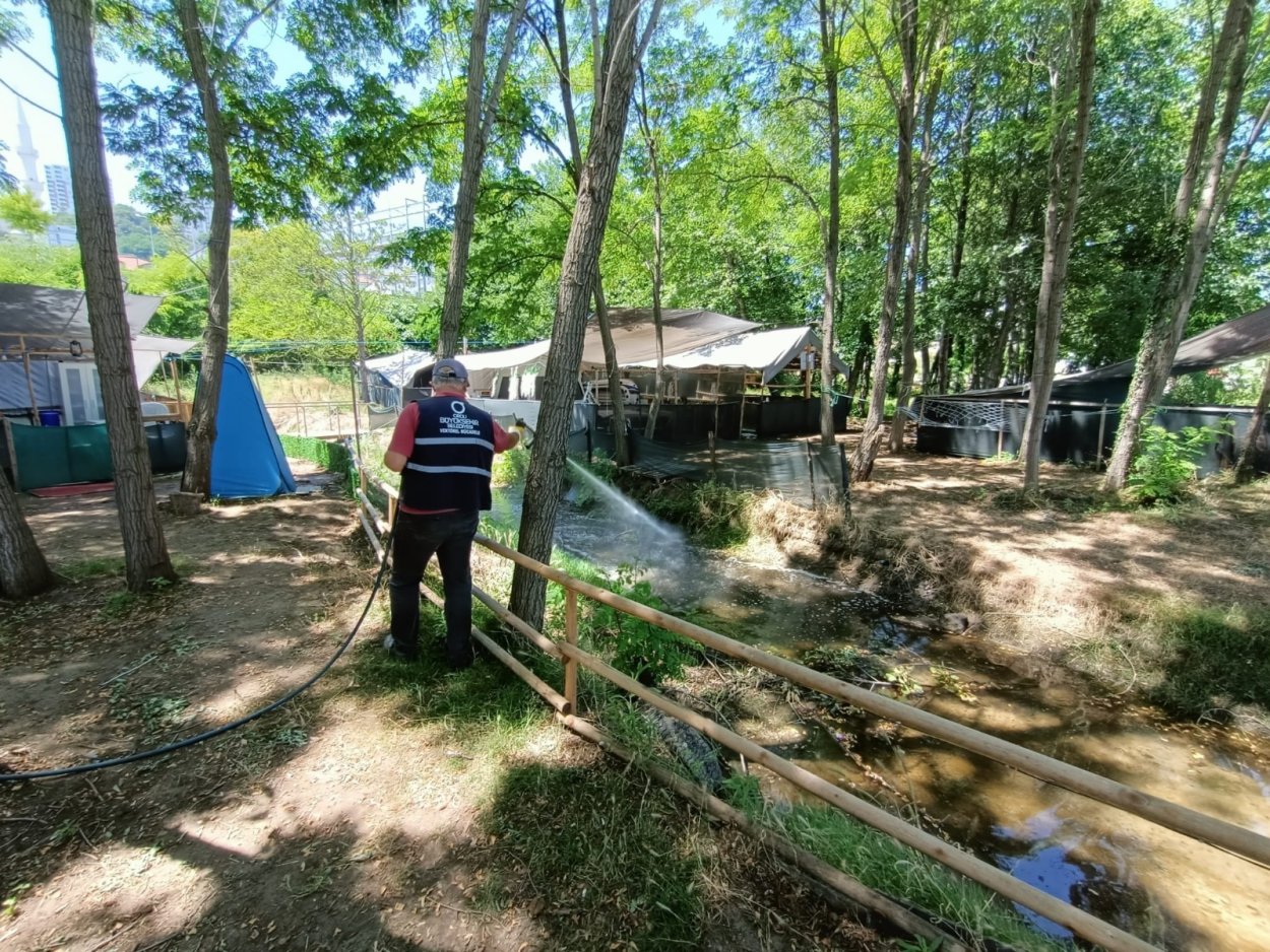 BÜYÜKŞEHİR SİNEKSİZ BİR YAZ İÇİN SAHADA