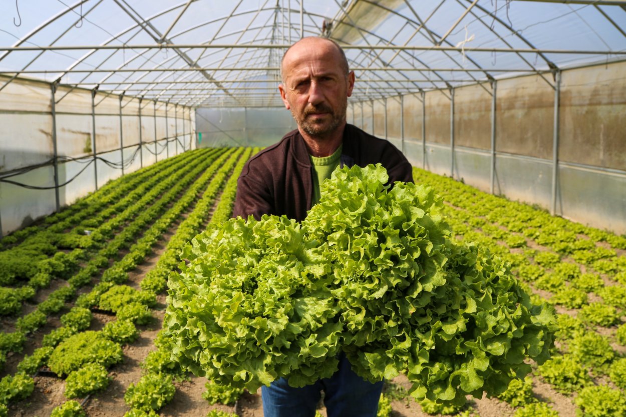 BÜYÜKŞEHİR YETİŞTİRİYOR, ÜRETİCİ KAZANIYOR