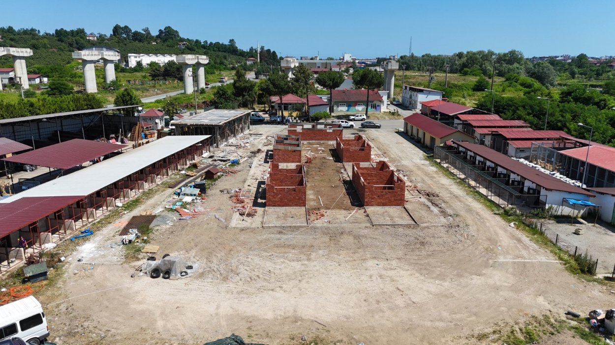 BÜYÜKŞEHİRDEN SOKAK HAYVANLARINA MODERN YAŞAM ALANI