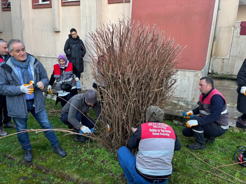 CAN VE MAL GÜVENLİĞİNİ İÇİN BUDAMA ÇALIŞMASI YAPILACAK