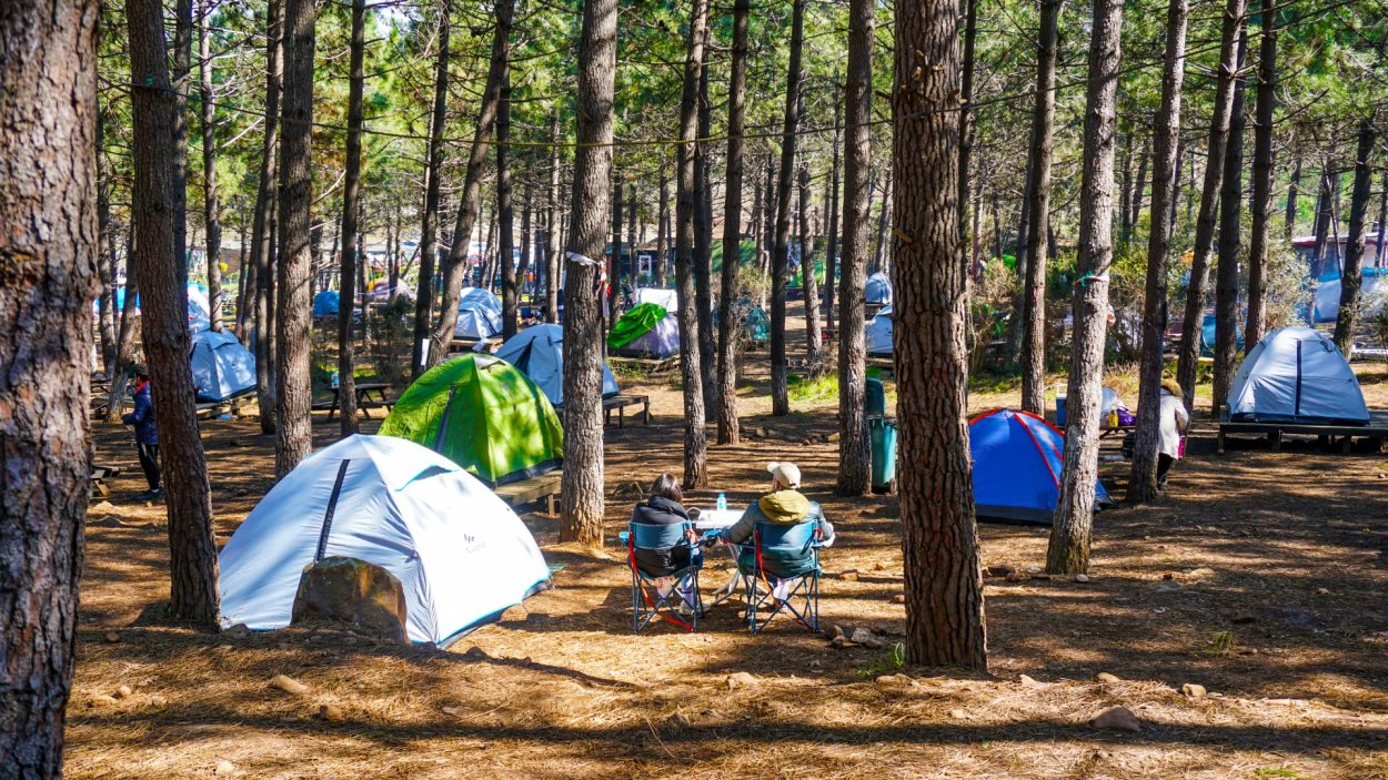 DOĞA İLE VAKİT GEÇİRMEK İSTEYENLERİN TERCİHİ: ÇINARSUYU TABİAT PARKI