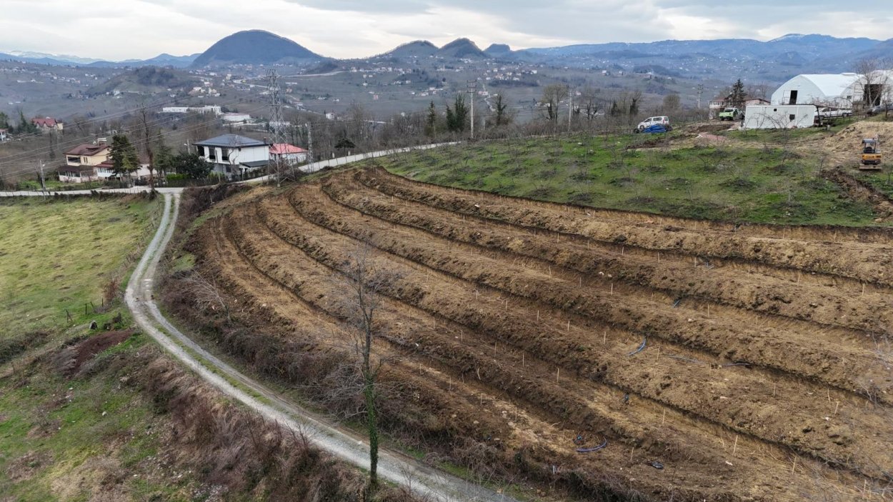 FINDIKTA YENİ TEKNİKLER