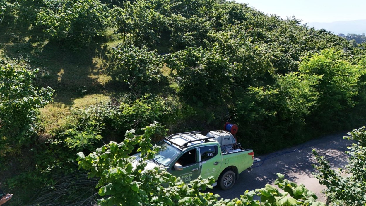 FINVER BAHÇELERİNDE KAHVERENGİ KOKARCA İLE MÜCADELE ÇALIŞMALARI YAPILIYOR