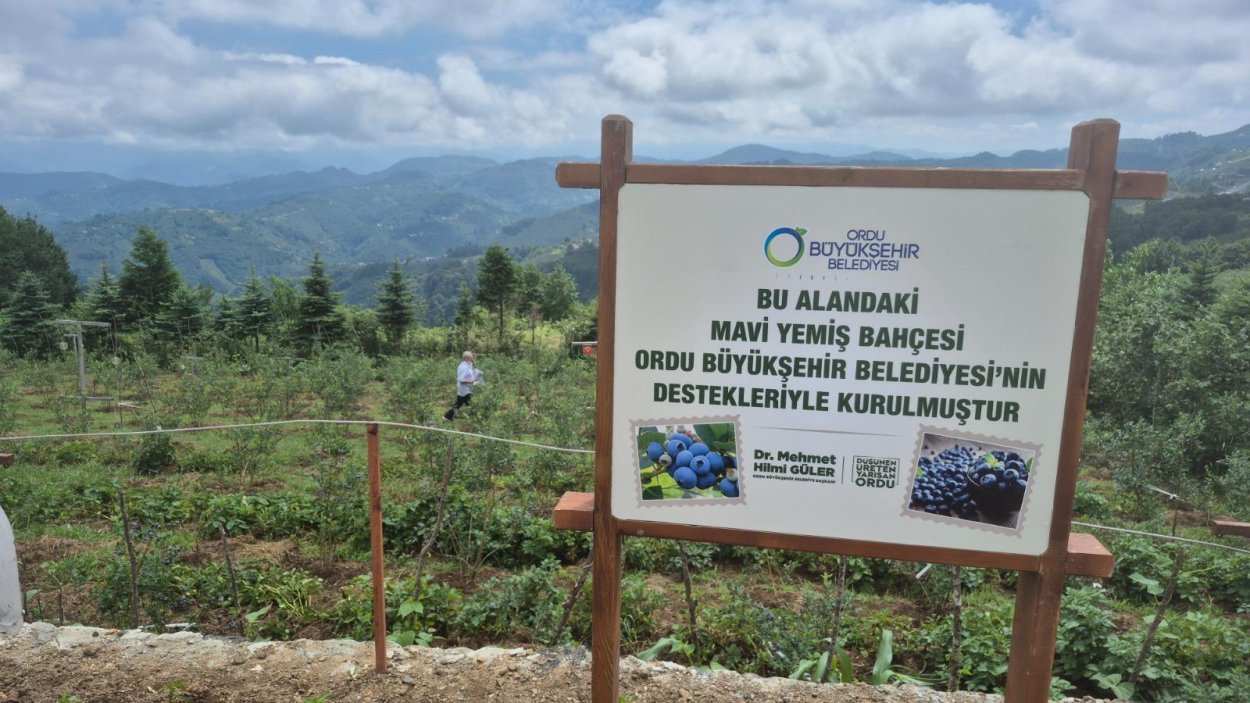 KİLOGRAM SATIŞ FİYATI 500 TL’DEN BAŞLIYOR