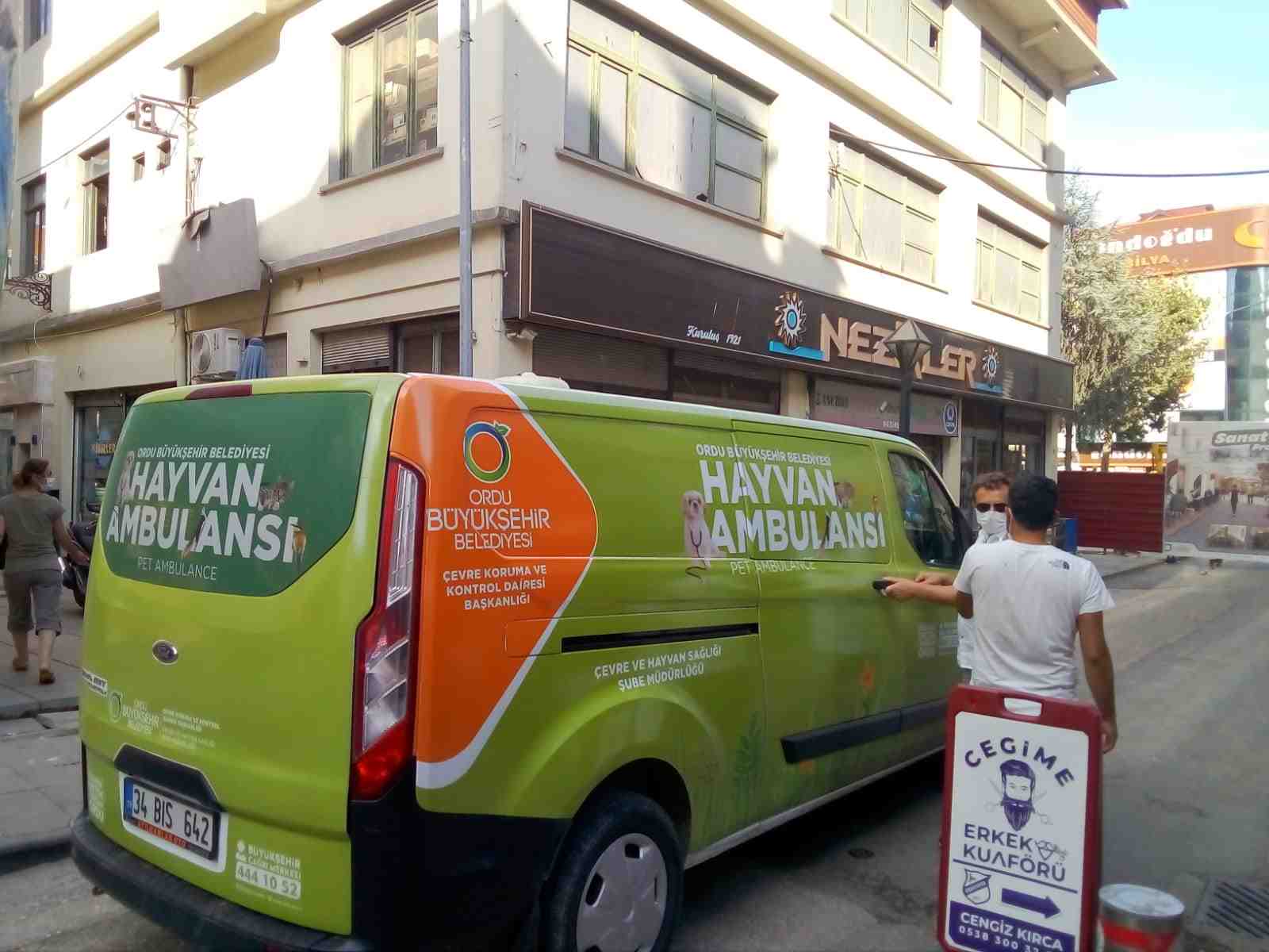 MAHSUR KALAN KEDİYİ HAYVAN AMBULANSI KURTARDI