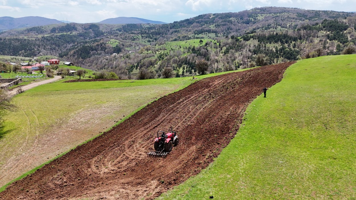 ORDU’NUN ÂTIL ARAZİLERİ BÜYÜKŞEHİR İLE BEREKETLENİYOR