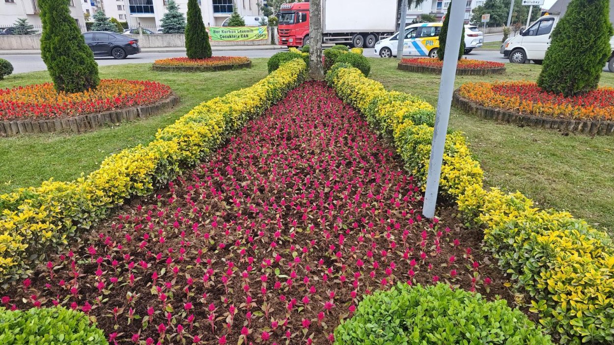 ORDU’NUN DÖRT BİR YANI ÇİÇEK BAHÇESİ OLDU