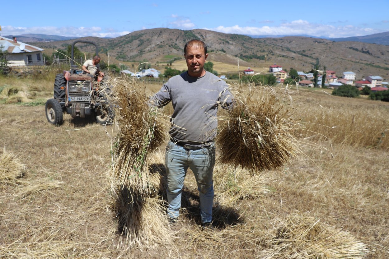 ÜRETİMİ YÜZDE 1500 ARTTI