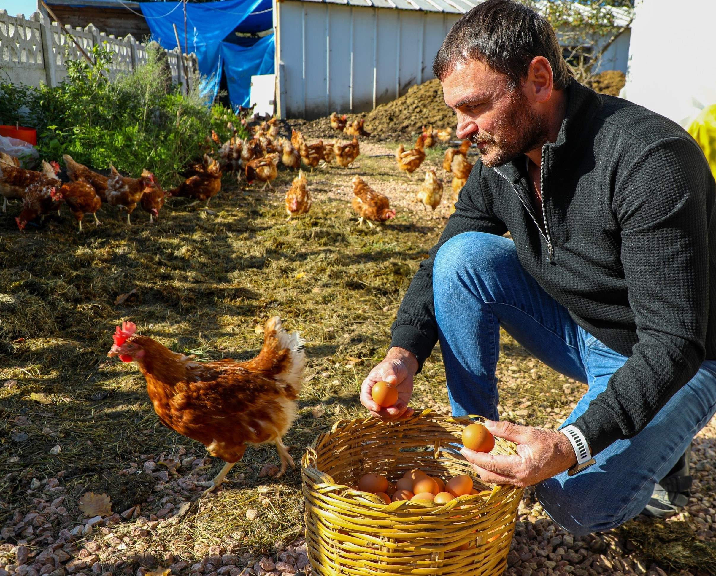 YUMURTA SEKTÖRÜ BAŞKAN GÜLER SAYESİNDE AYAĞA KALKTI