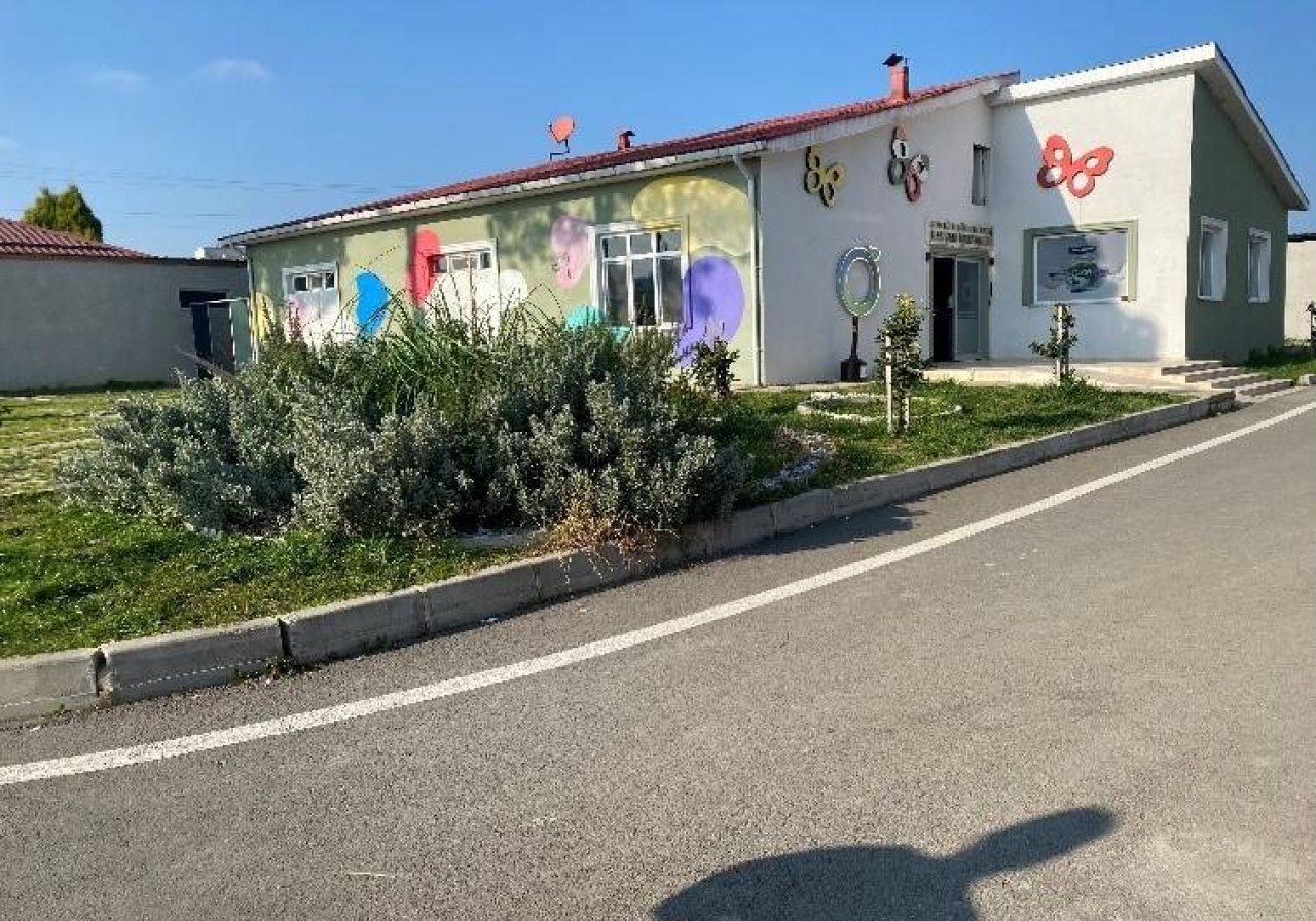 Hayvan Hastanesi ve Ambulans Hizmetleri